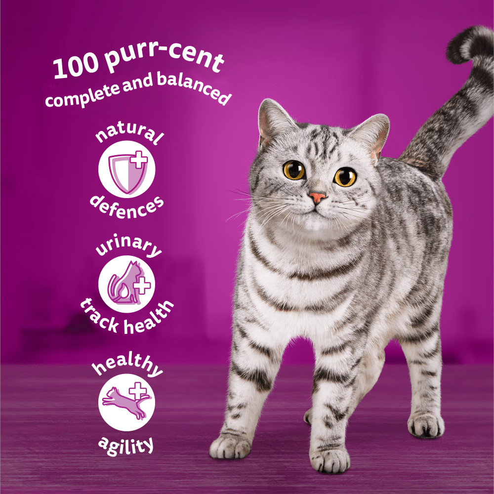 WHISKAS® 7+ Years Adult Wet Cat Food Mixed Favourites In Jelly 12x85g Pouch - 4