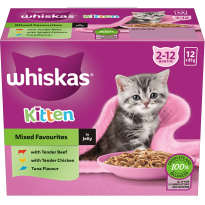 WHISKAS® 2-12 Months Kitten Wet Cat Food with Mixed Favourites In Jelly 12x85g Pouch
