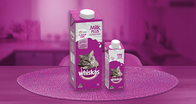 whiskas cat milk price