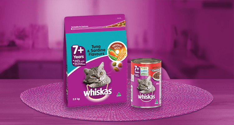 whiskas cat milk price