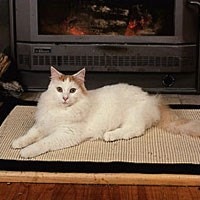 Turkish Van