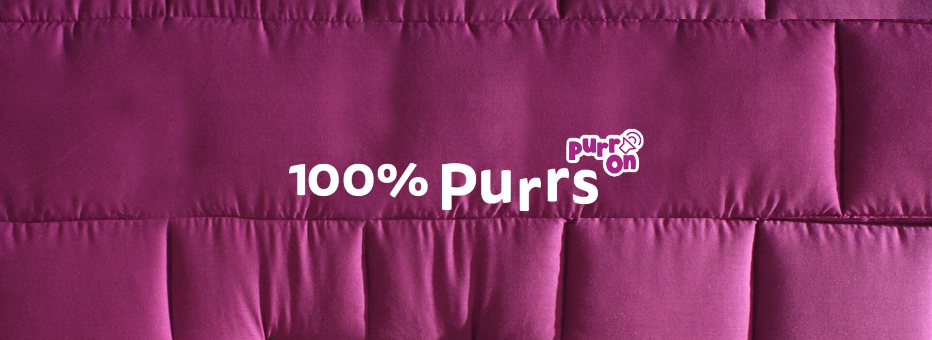 100% purrs