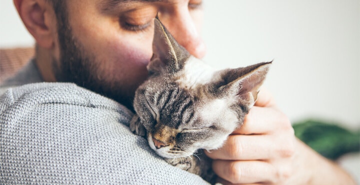 DENTAL PROBLEMS IN OLDER CATS