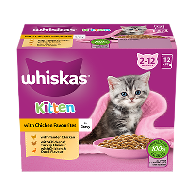Kitten gravy cheap