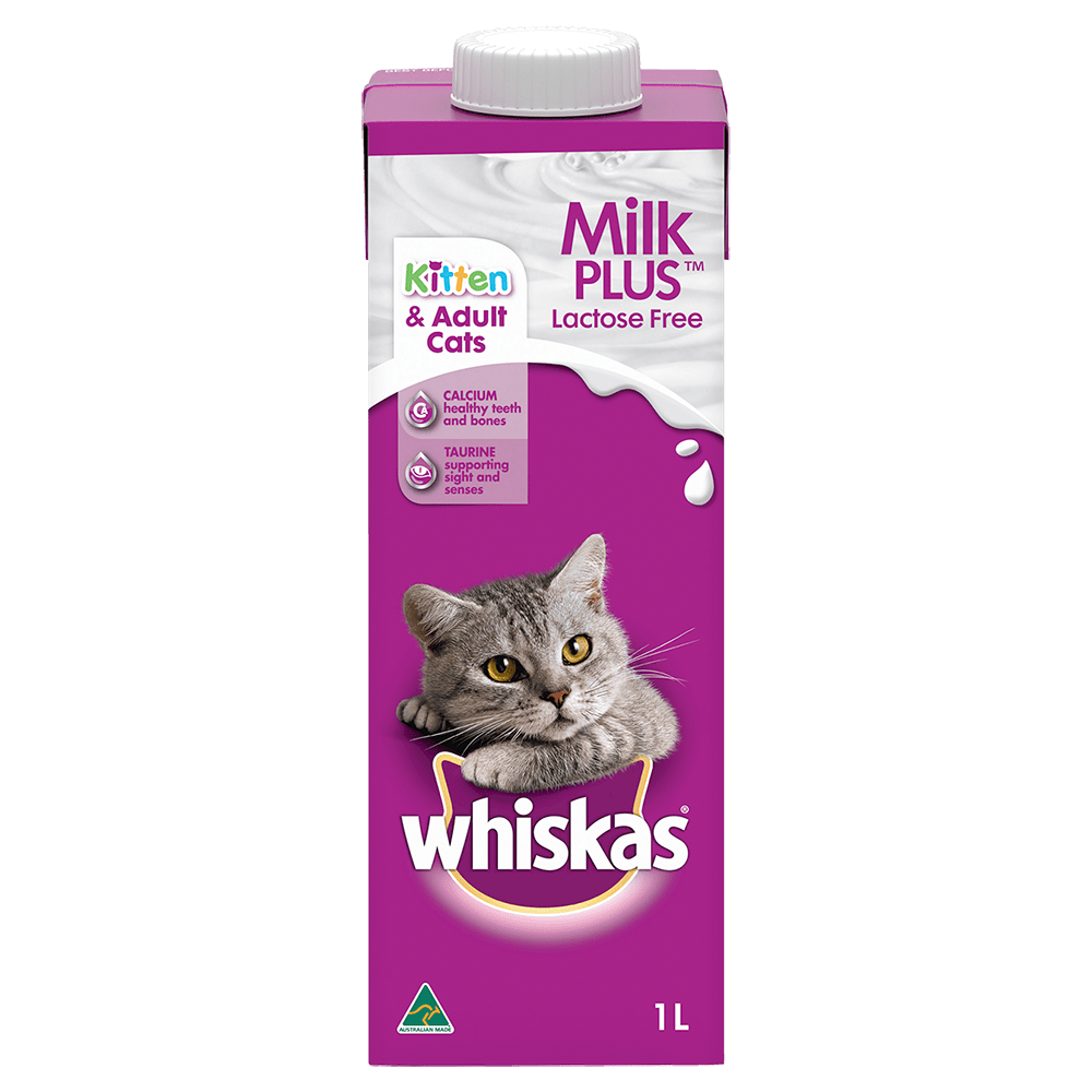 Adult cat milk cheap