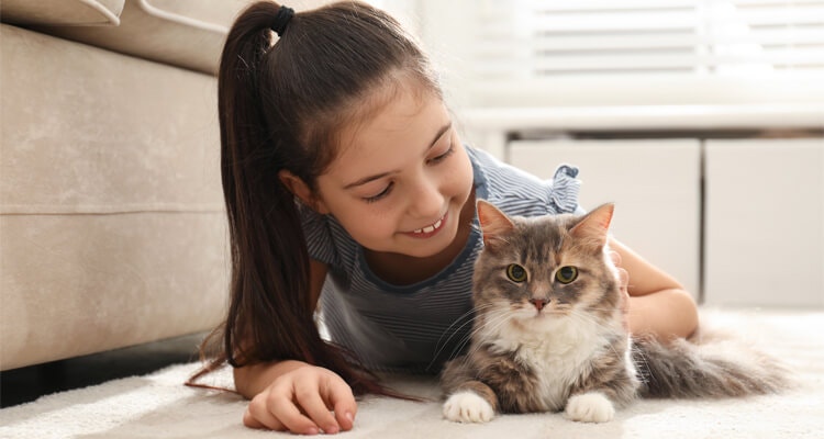 Kittens and children - Desktop
