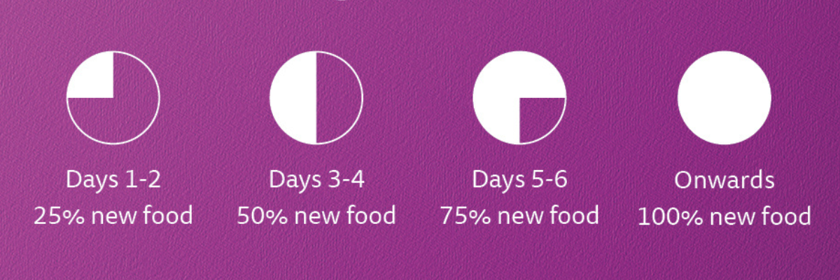 Days 1-2 25% new food. Days 3-4 50% new food. Days 5-6 75% new food. Onwards 100% new food.